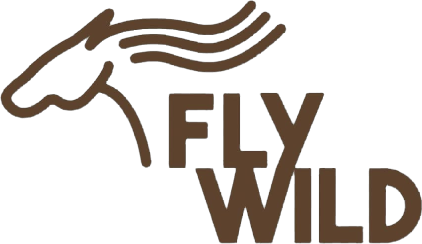 Fly Wild | Coaching met paarden